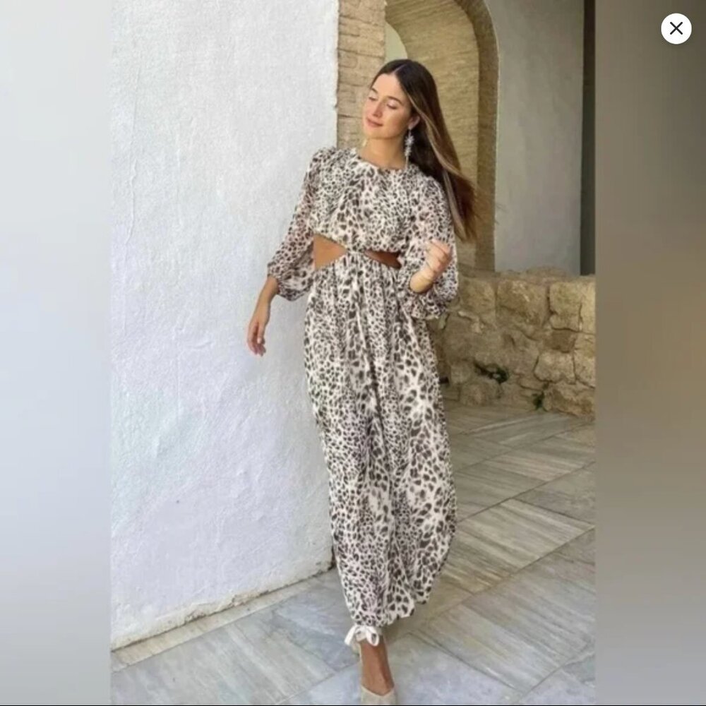 Zara Leopard Print Cut-Out Maxi Dress XS